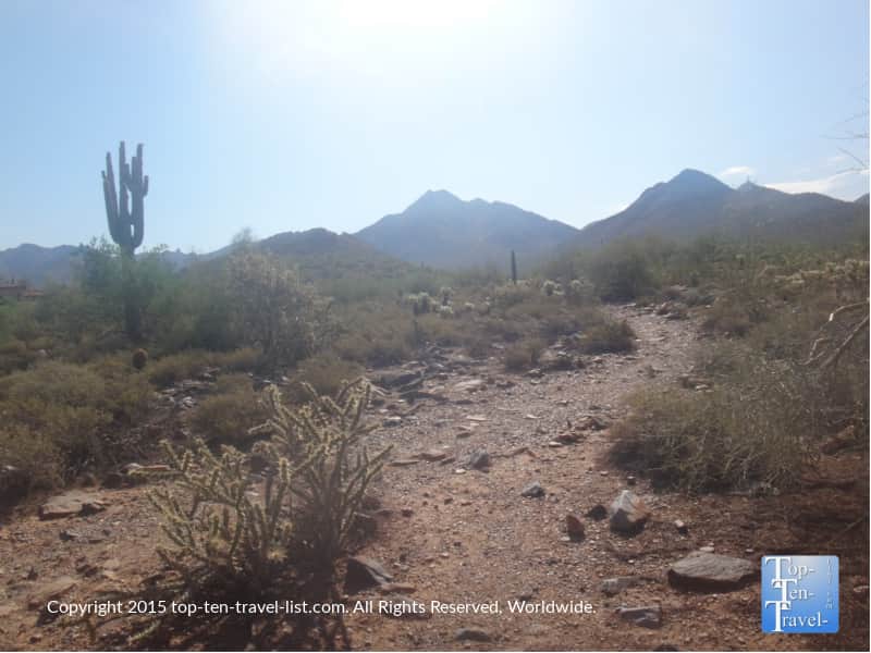 Horseshoe loop trail at Scottsdale's McDowell Sonoran Preserve