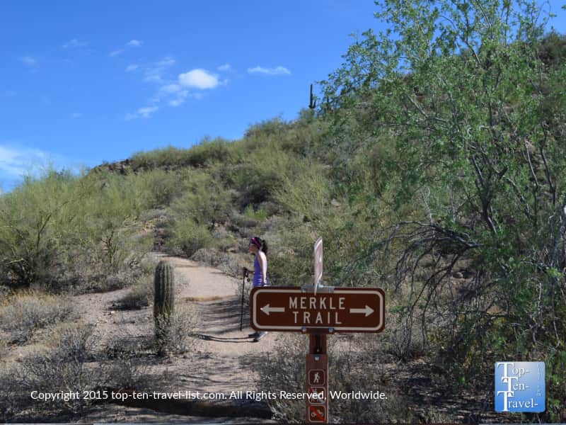 Merkle trail at Usery Mountain in Mesa