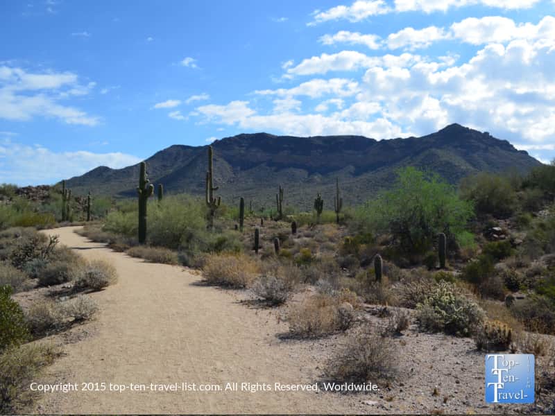 Usery Mountain Regional Park: Cacti & Mountain Views in Mesa