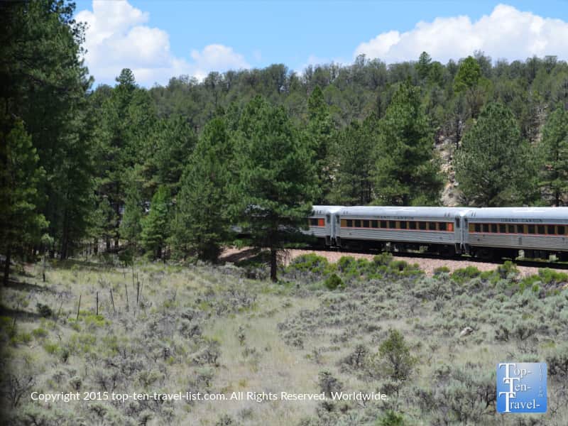 The Grand Canyon Railway traveling through pine forests