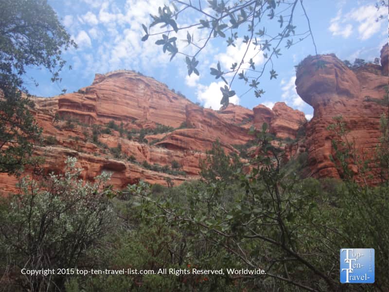 Red rocks and lush trees on the Fay canyon trail in Sedona