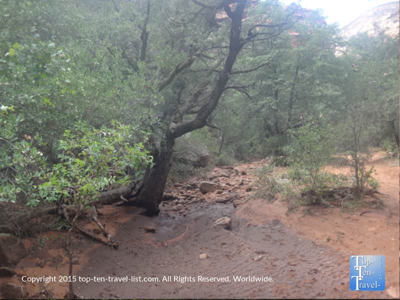 Dry stream on the Fay Canyon Trail in Sedona, Arizona