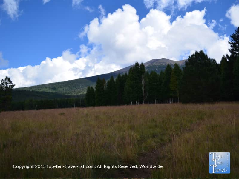 Pretty mountain view on the Aspen Nature Loop in Flagstaff