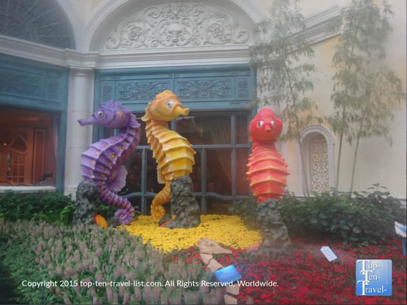 Seahorse display at The Bellagio Gardens in Las Vegas