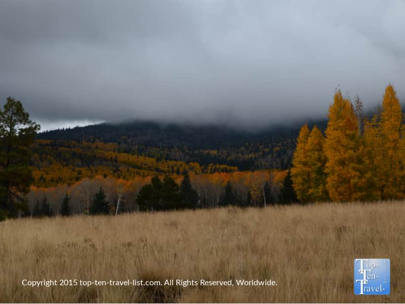 Cloudy skies and orange fall foliage on the Aspen Nature Loop in Flagstaff