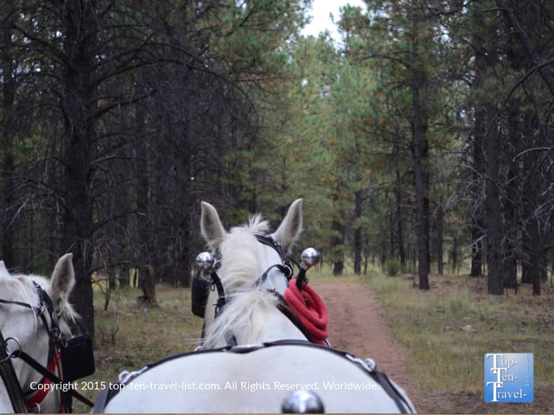 Fall hayride at Pumpkin in the Pines in Flagstaff