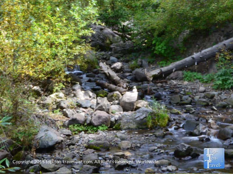 Creek along the Treasure falls trail in Pagosa Springs
