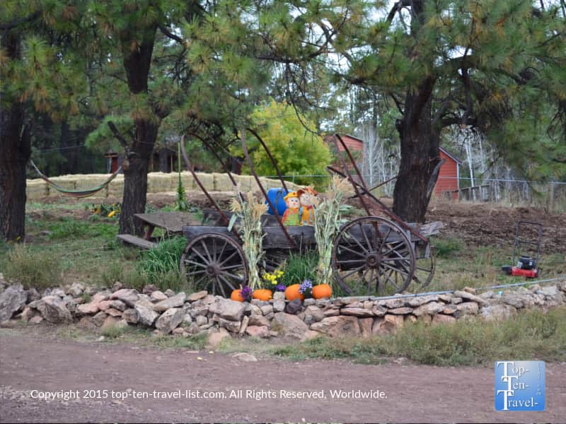 Scarecrow decor at Hitchin' Post Stables in Flagstaff