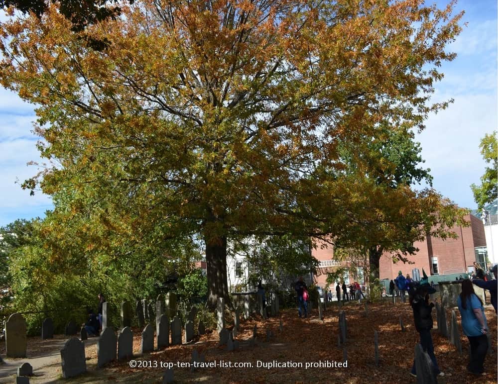 Old Burying Point Cemetery