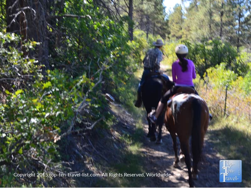 A fantastic peaceful trail ride through Diamond Hitch Stables in Pagosa Springs, Colorado