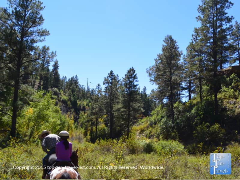 Taking a trail ride through the beautiful forests of Pagosa Springs, Colorado