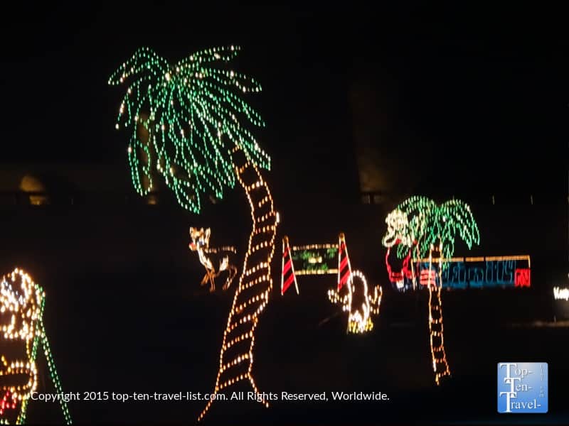 Palm tree display at Prescott Valley of Lights 