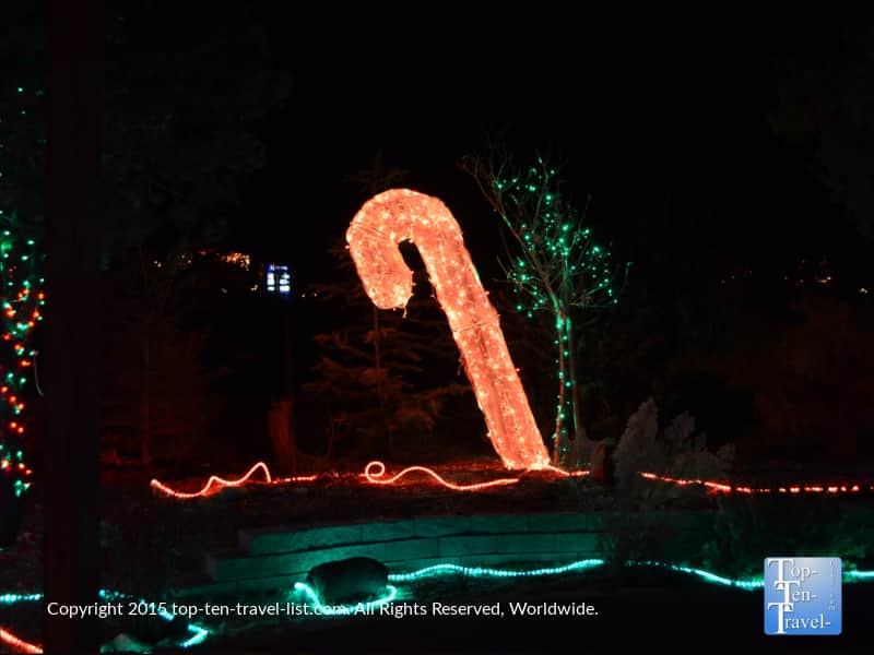 Candy cane at Wild Lights at Heritage Zoo