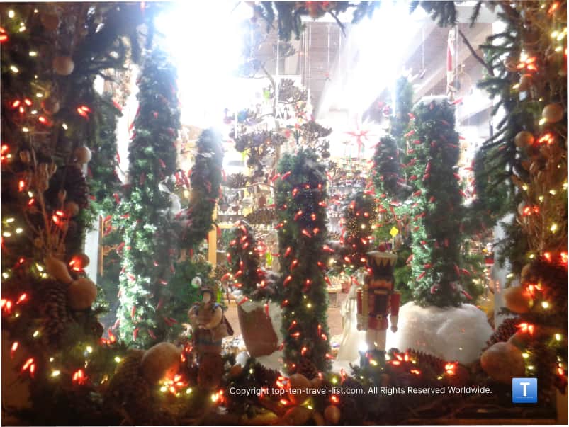 Cacti Christmas window display