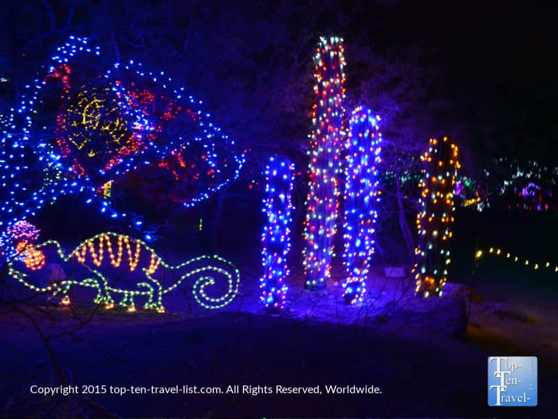 Cactus with lights at the Phoenix Zoo