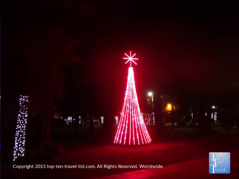 A pretty tree as part of the synchronized light show at Bearizona in Williams, Arizona