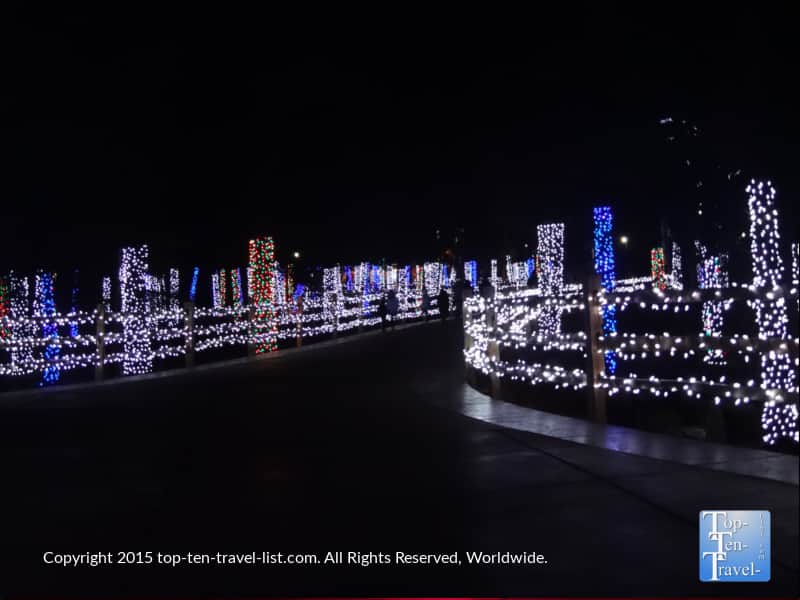 Synchronized light show at Bearizona in Williams, Arizona