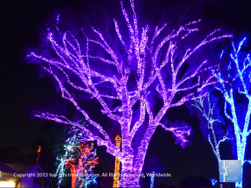 Purple and blue lights at the Phoenix Zoo Lights