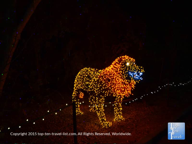 Lion display at the Phoenix Zoo Lights