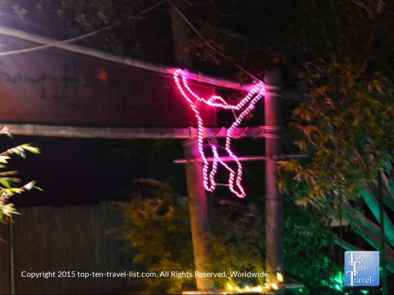 Monkey at the Phoenix Zoo Lights