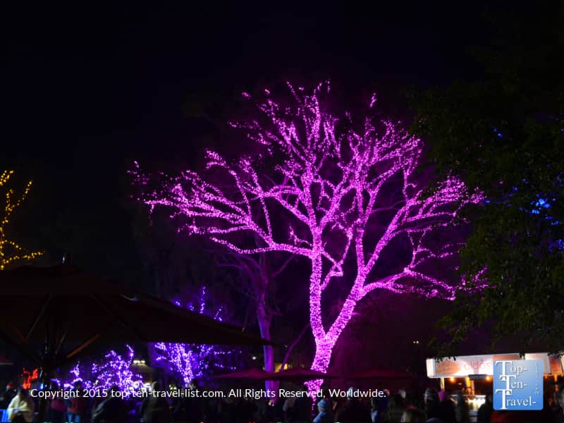Pretty purple lights at Pheonix Zoo Lights