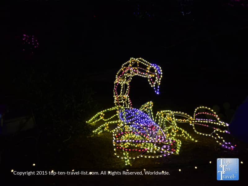 Scorpion display at the Phoenix Zoo Lights