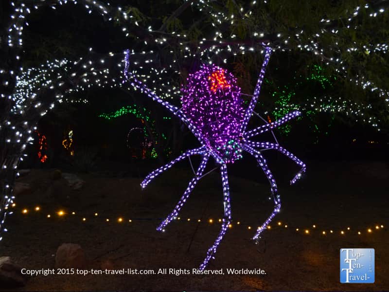 Spider display at the Phoenix Zoo lights