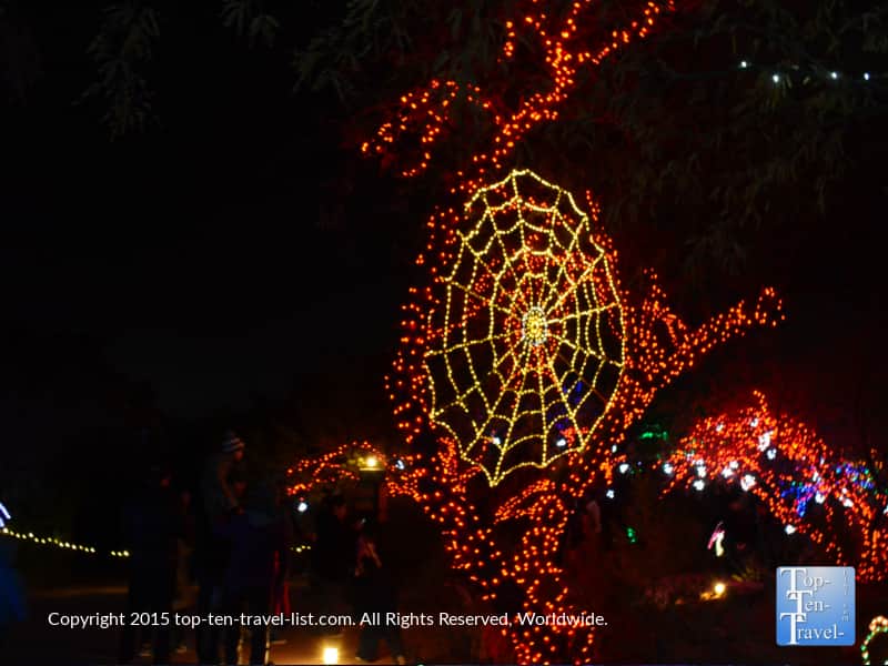 Spider web display at the Phoenix Zoo