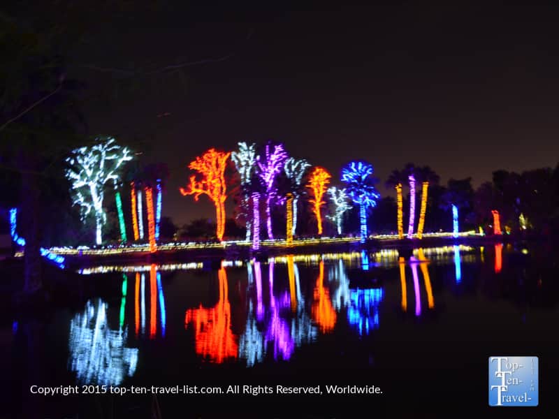 Trees with lights at the Phoenix Zoo Lights