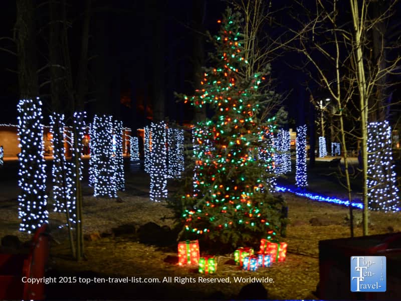 A beautiful Christmas tree and lights at Wild Wonderland at Bearizona in Williams, Arizona