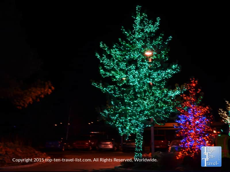 Green Christmas tree lights in Flagstaff