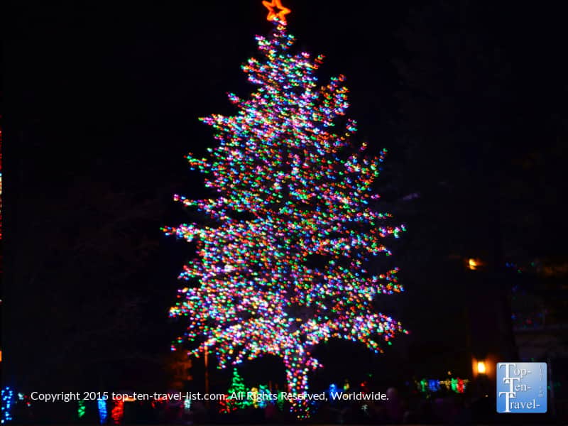 A beautifully decorated tree at the Little America holiday lights in Flagstaff
