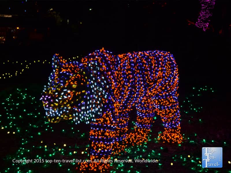 Tiger display at the Phoenix Zoo Lights