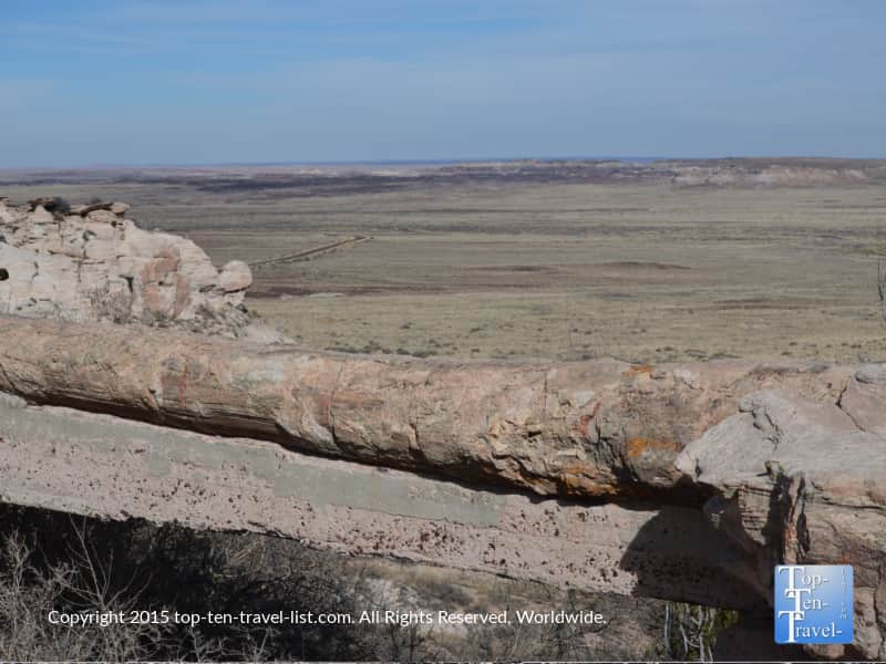 Agate Bridge at the Petrified National Forest 