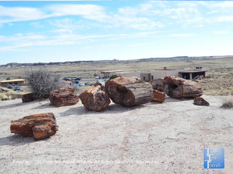 Giant Logs trail at the Petrified National Forest 