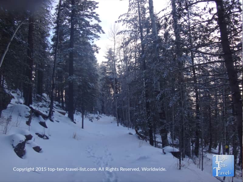 Hiking Veit Springs during a Flagstaff, Arizona snowstorm
