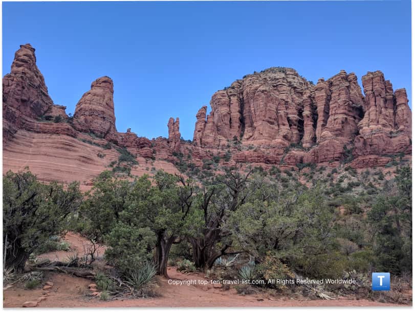 Greenery on the Little Horse trail in Sedona