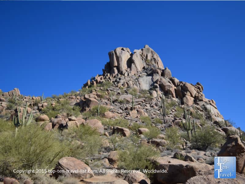 Mountain with lots of cactuses on the Pinnacle Peak trail in Scottsdale Arizona