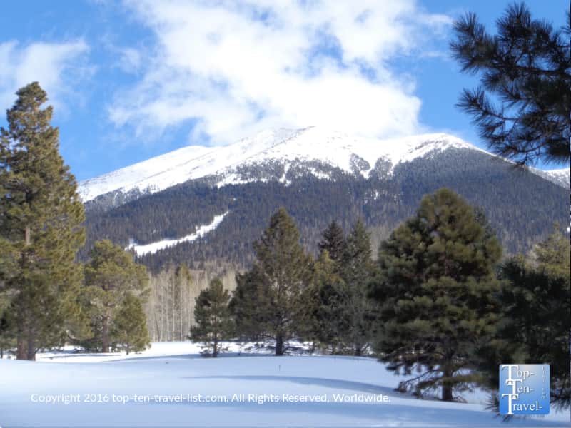 Mountain views along the Aspen Nature Loop in Flagstaff 