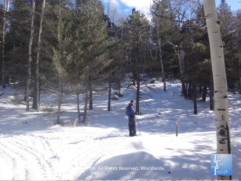 Snowy views along the Veit Springs trail in Flagstaff, Arizona