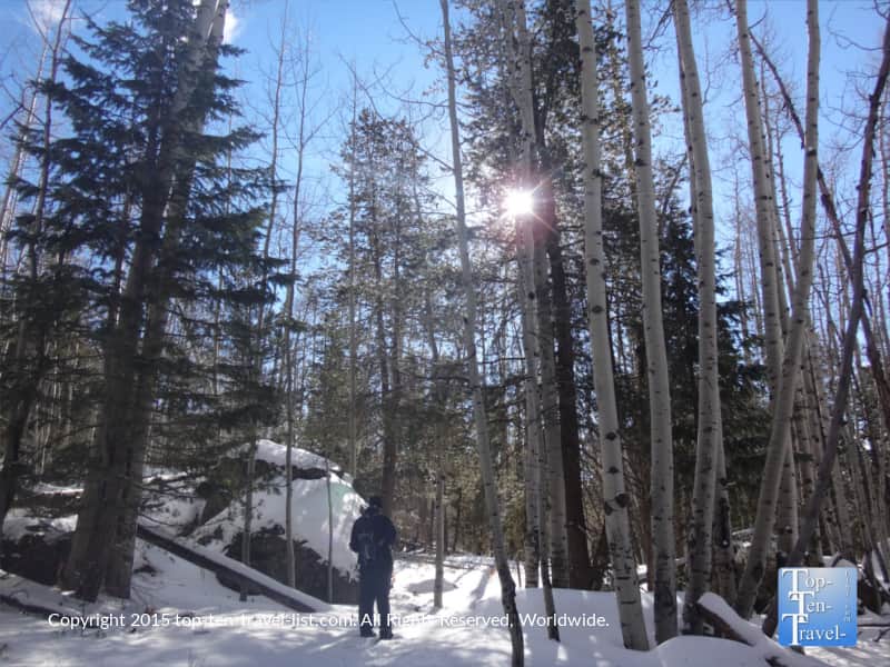 Winter hike along the Veit Springs trail in Flagstaff, Arizona