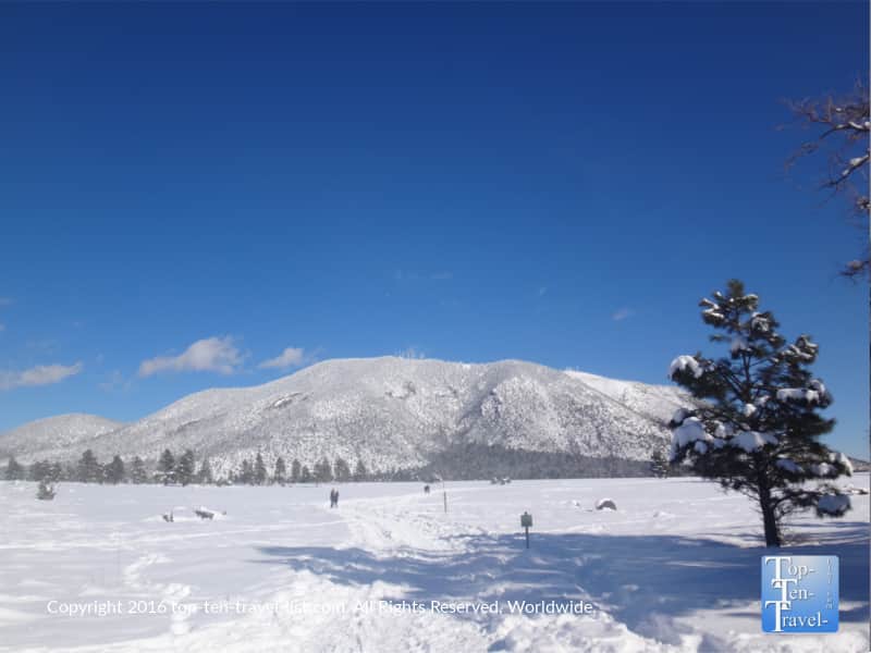 Snow covered mountains at Buffalo Park in Flagstaff, Arizona