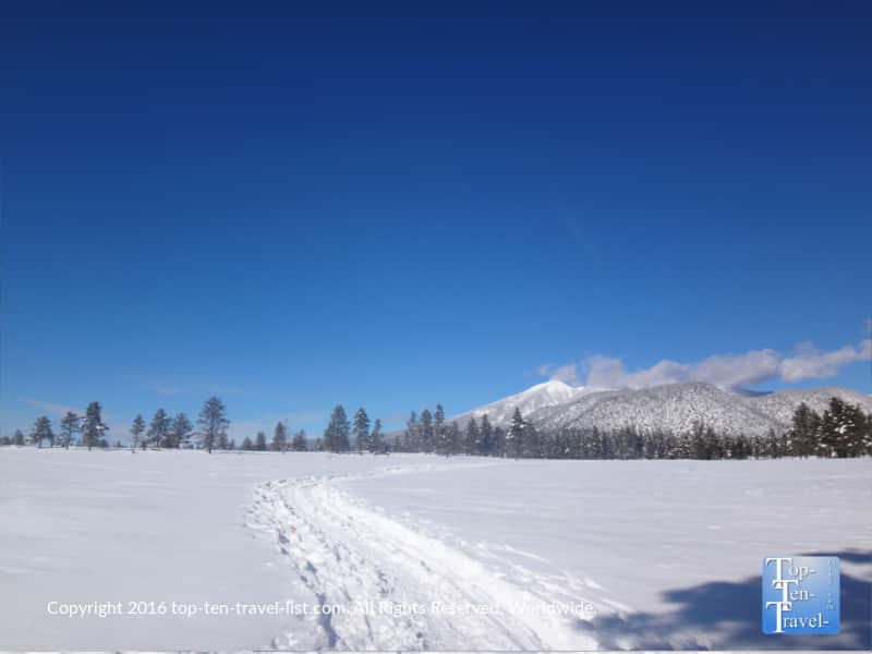 Buffalo Park covered with snow 