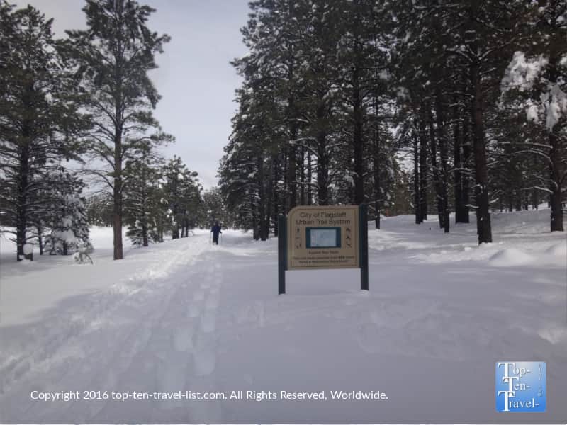 Winter snowshoeing adventure at Fort Tuthill