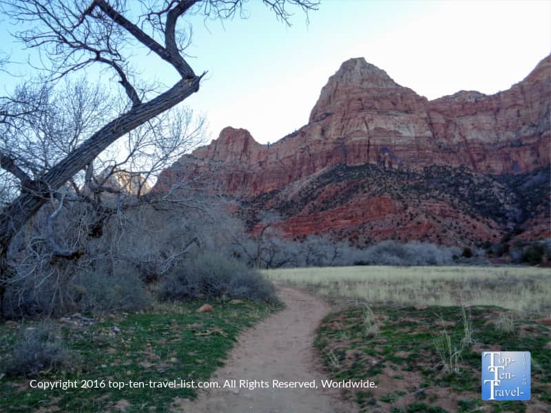 A view of the stunning scenery along Zion's Watchman Trail