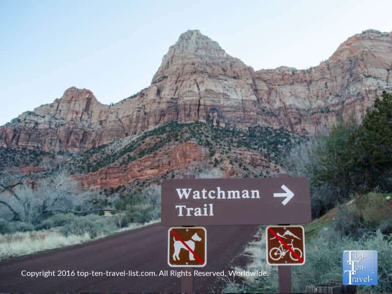 Hiking the Watchman Trail at Zion National Park