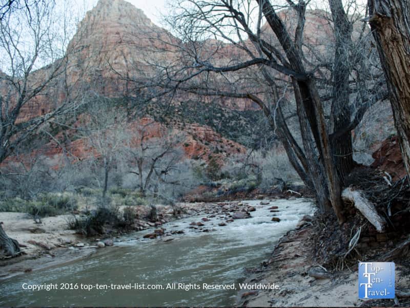 Peaceful views of the Virgin River via the Watchman trail at Zion National Park in Utah