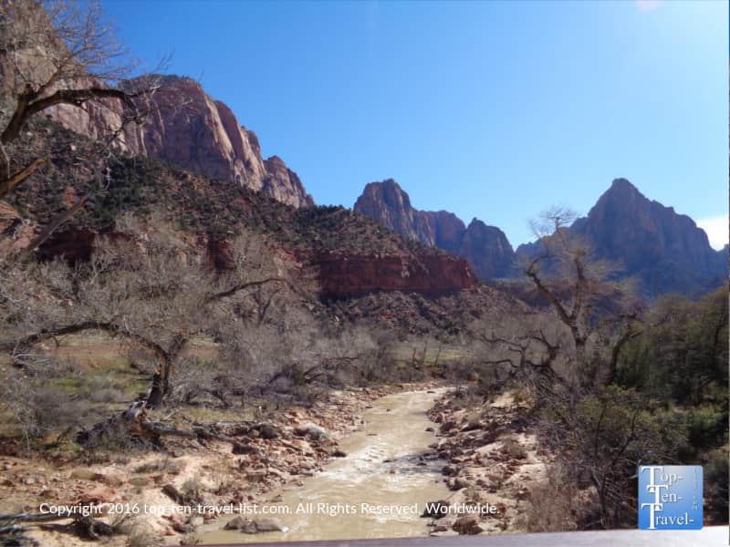 Serene views of the Virgin river along the Pa'Rus trail at Zion National Park in Utah