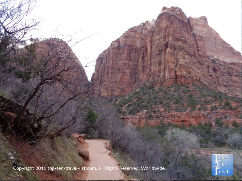 View of the Lower Emerald Pools trail at Zion National Park
