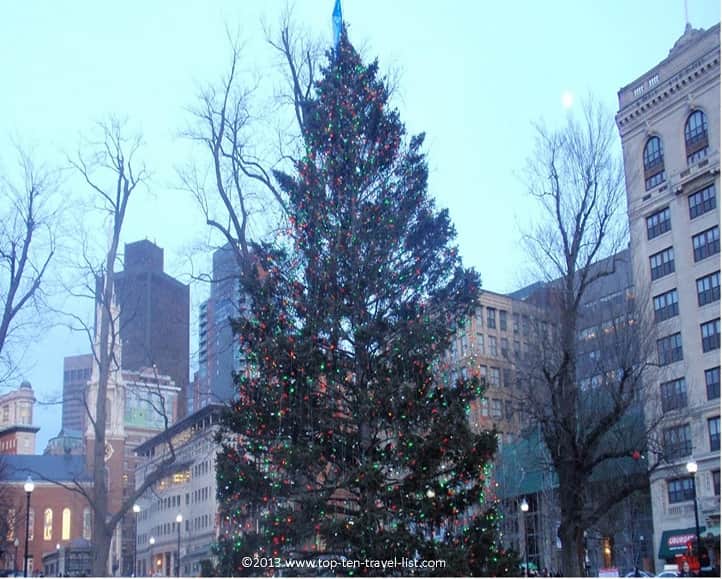 Boston's annual Christmas tree